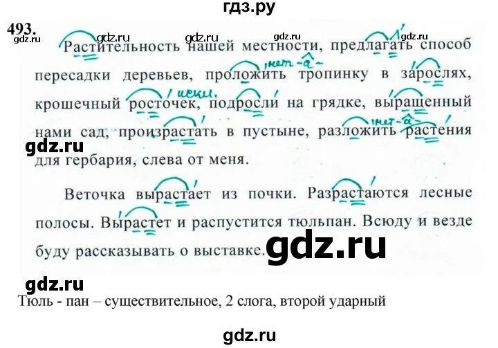 Стр 21 упр 493. Упр 493. русский язык 5 класс упражнение 493. упражнения 493 по русскому языку нр.