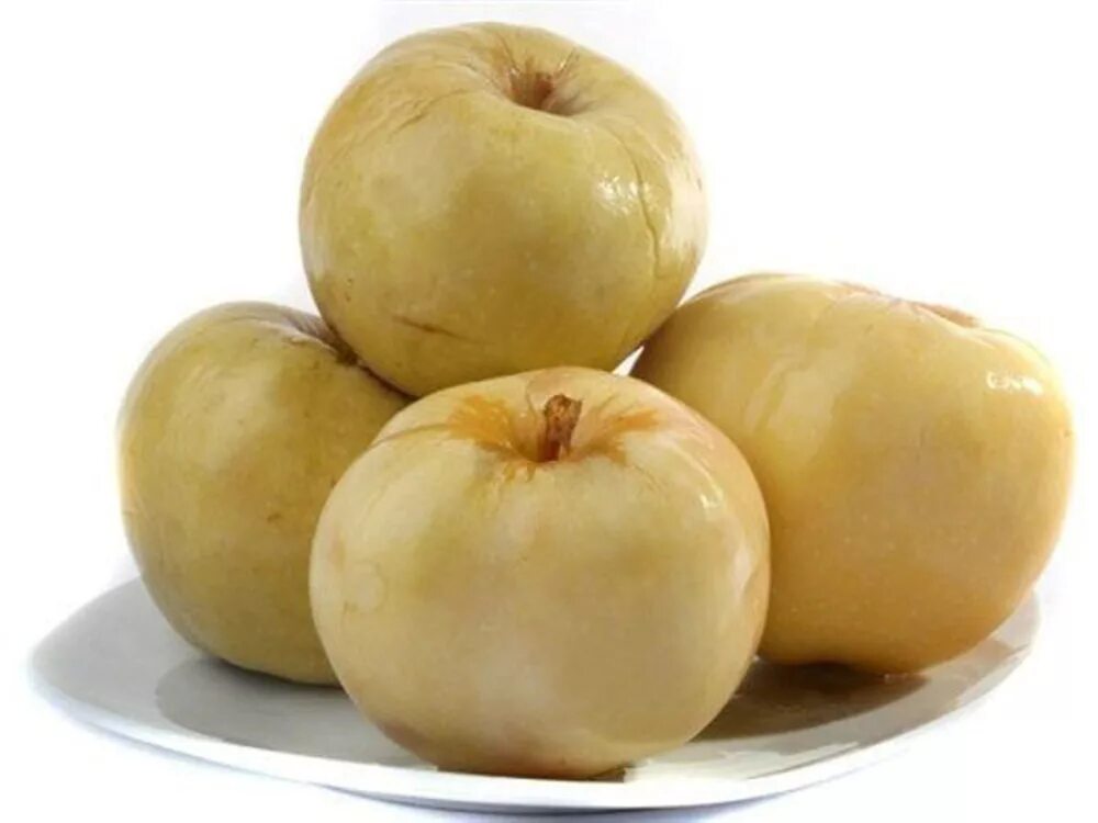 Купить моченые яблоки. Моченые яблоки. Соленые яблоки. Моченые яблоки на белом фоне. Вареные яблоки.