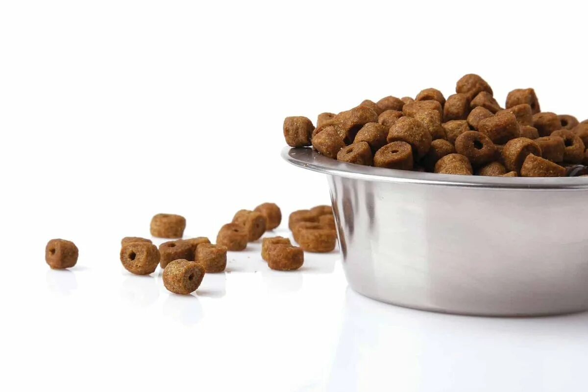 Что можно добавить в сухой корм. Корм. корм для животных. dog food. кошачий корм на прозрачном фоне.