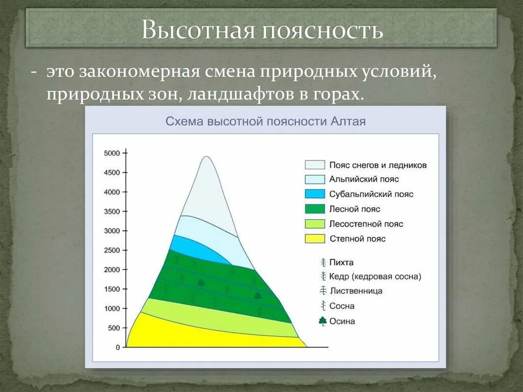 Высотная поясность географический пояс. Схема ВЫСОТНОЙ поясности Алтая. Высотная поясность Сихотэ-Алинь. Высотная поясность уральских гор география.