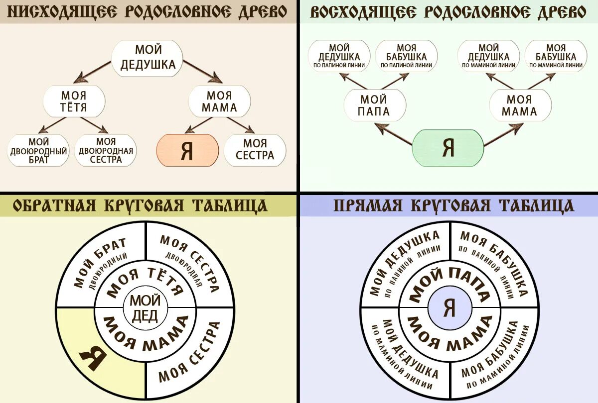 Родственники по восходящей линии. Генеалогическая таблица нисходящего родословия. Виды геологического древа. Схема восходящей родословной. Восходящая генеалогическая схема.