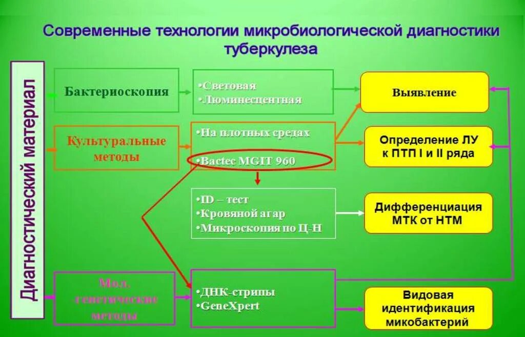 Алгоритм диагностики туберкулеза. Диагностика туберкулеза лабораторные методы. алгоритм лабораторной диагностики туберкулеза.. схема микробиологической диагностики туберкулеза.