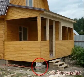 Фортуна лес