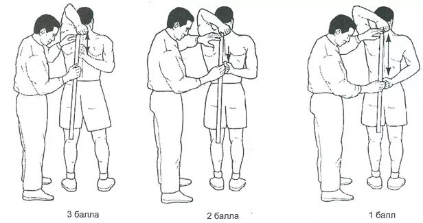 Подвижность голеностопного сустава. Тест на подвижность. Тест на подвижность. Контрольные упражнения для определения развития гибкости. Тест на подвижность.
