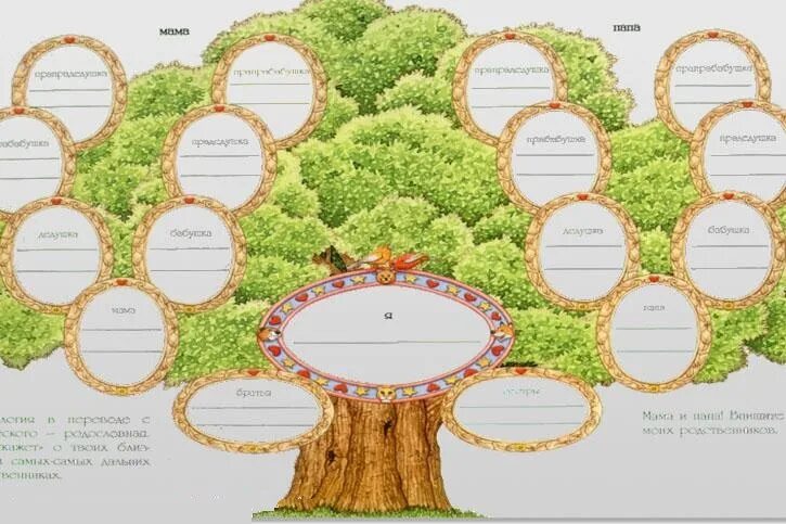 Дерево жизни 2 класс. Родословная дерево. Геологическое дерево. Семейное Древо макет. Макет родословного дерева.