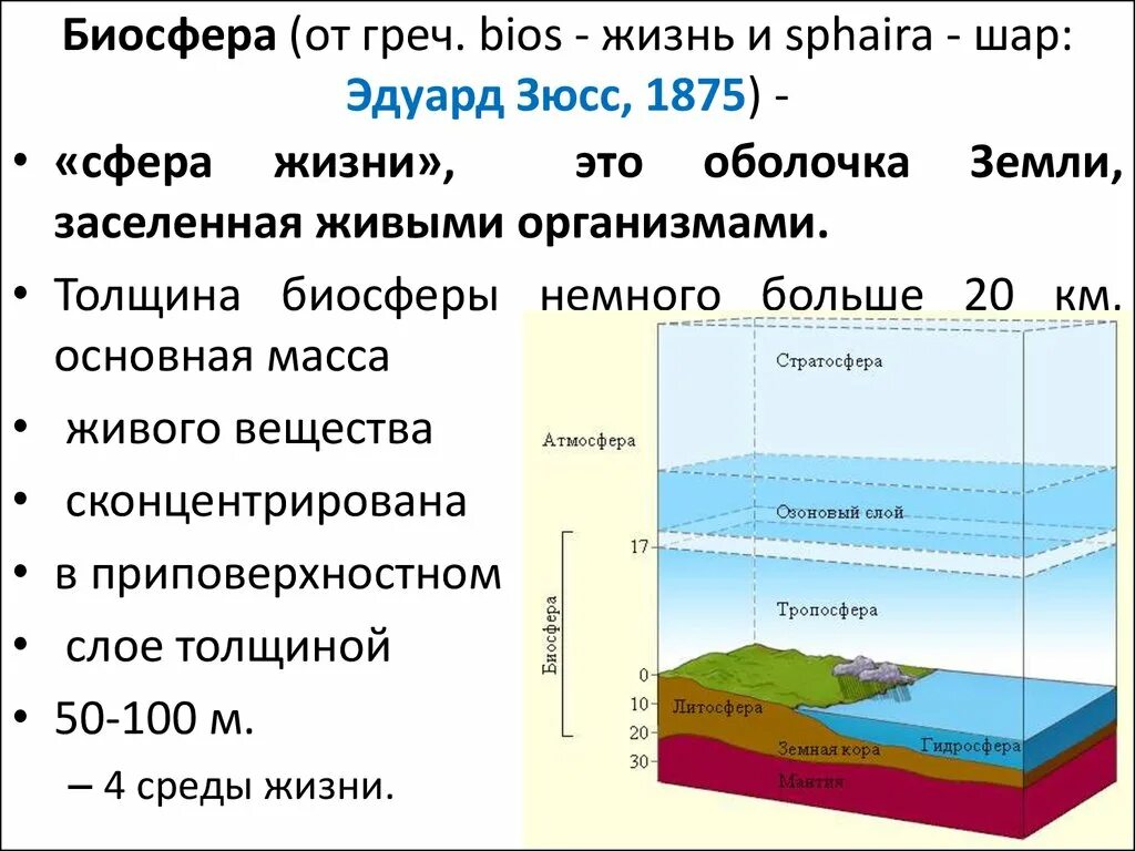 Биосфера земная оболочка. Биосфера оболочка жизни. Толщина биосферы. Биосфера сфера жизни.