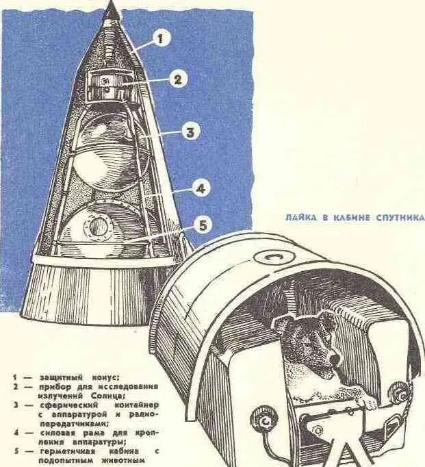 Второй советский спутник. Спутник 2 устройство. Спутник-2 космический аппарат с лайкой. Спутник-2 с собакой лайкой на борту. Спутник-2 чертежи.