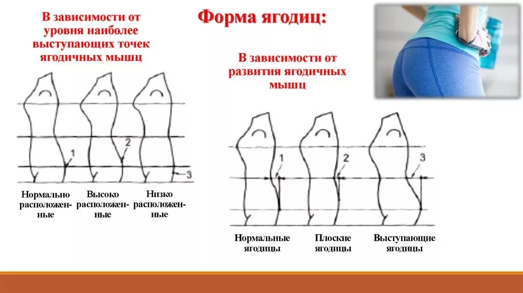 Виды поп. Формы ягодиц. Типы женских ягодиц. Форма ягодиц у женщин. Форма ягодиц у женщин как определить.