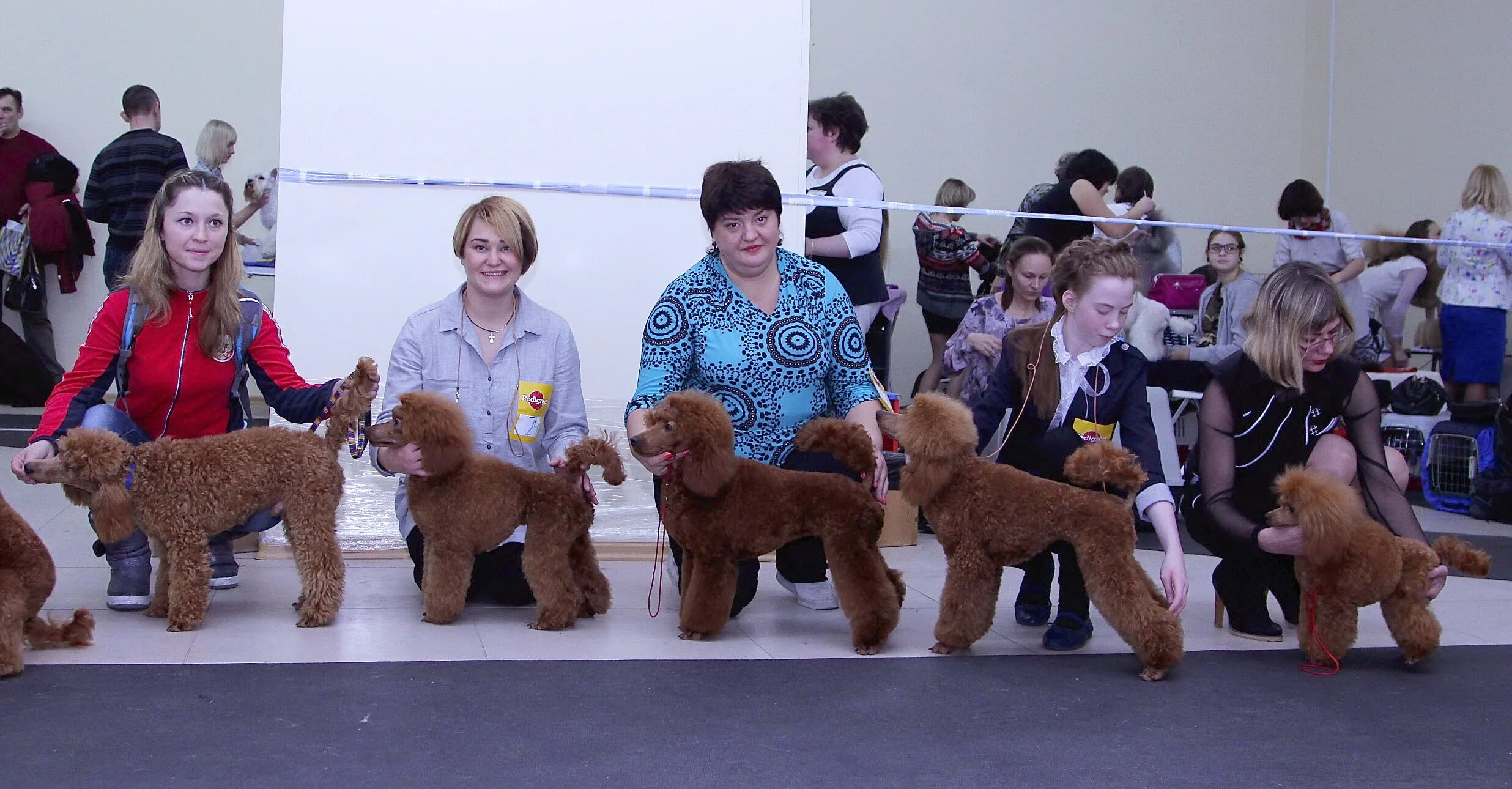 груминг красноярск