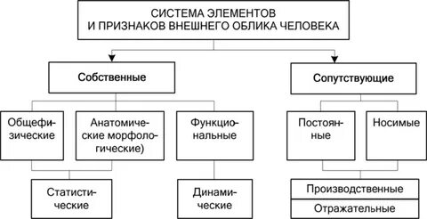 Составляющие внешнего облика человека