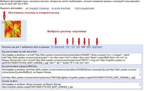 Код выборы