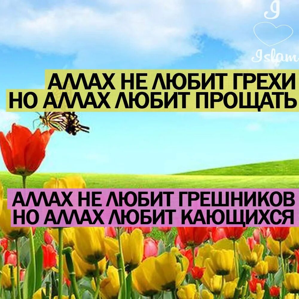 Всевышний прости наши грехи.