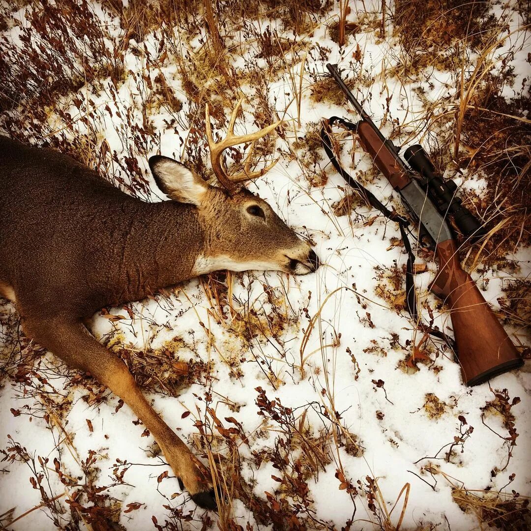 Great hunting. Great hunting