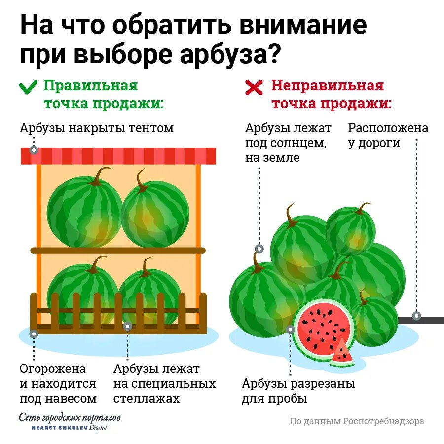 Арбузы инструкция. Как выбрать Арбуз. Как выбрать сладкий Арбуз. Как правильно выбрать Арбуз. Как выбирать Арбуз правильно сладкий.