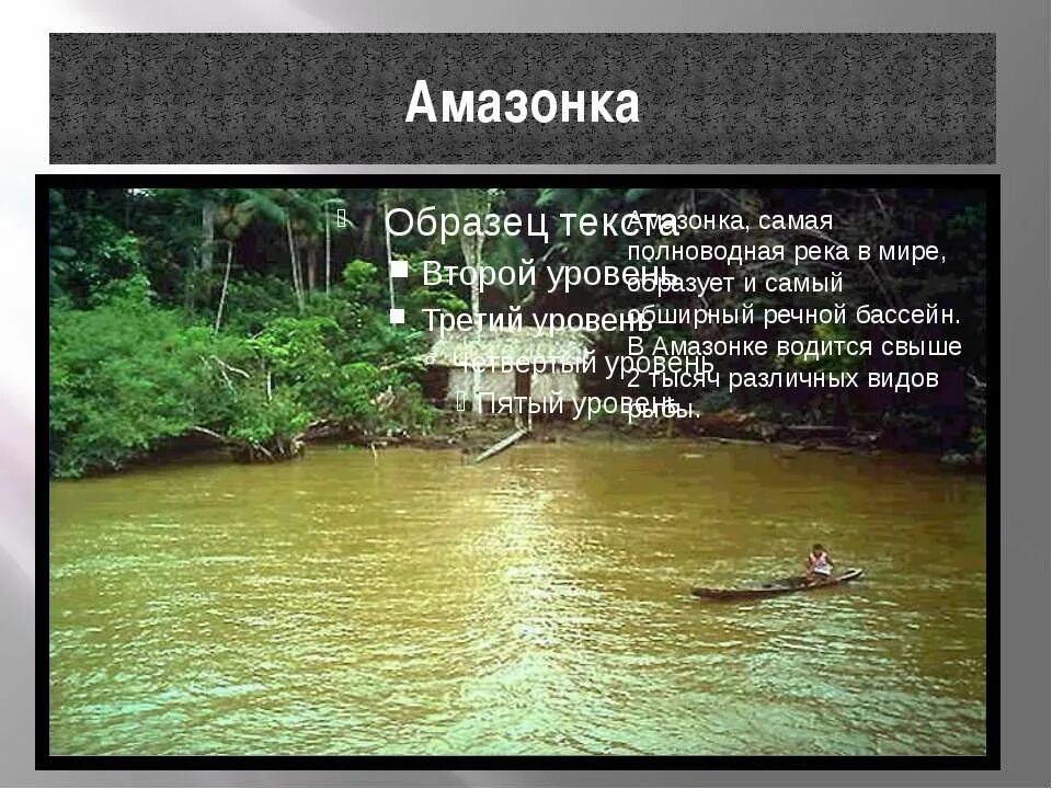 Реки полноводные время. Полноводная река в мире. Самая полноводная река в мире. Полноводность амазонки. Амазонка полноводная река.