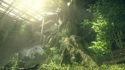Environment z