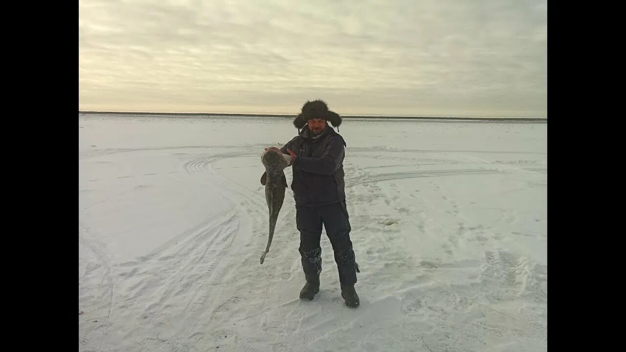 Это не диалоги. Это не диалоги о рыбалке 2025. не диалоги о рыбалке последние 2025. костян это не диалоги о рыбалке. не диалоги о рыбалке последние 2025.