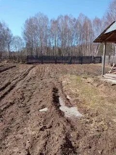 Д осинки