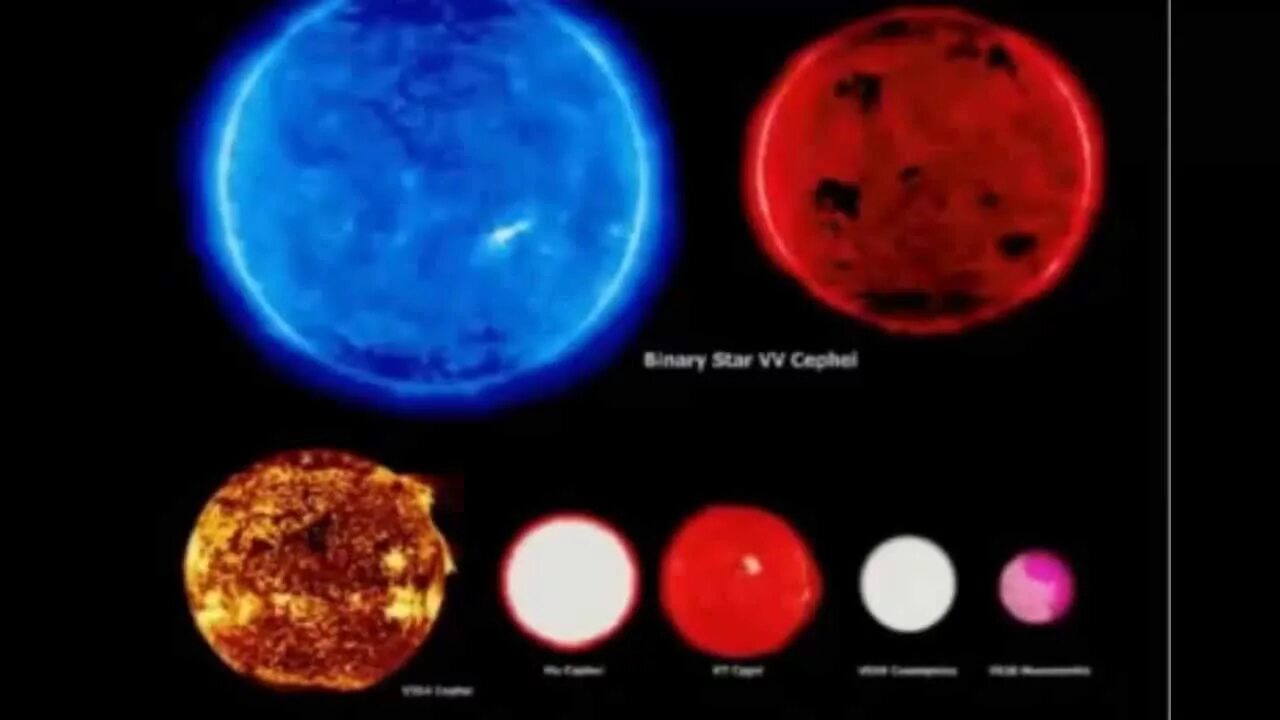 Largest star