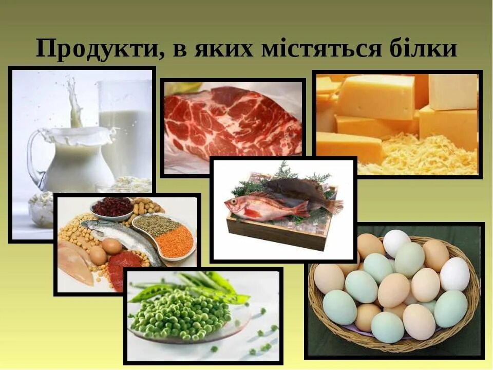 Постные белковые продукты. Картинки на тему Білки в житті люди.