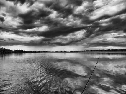 Nonstop Photos YULIA NIKITINA / IMG_2688_1