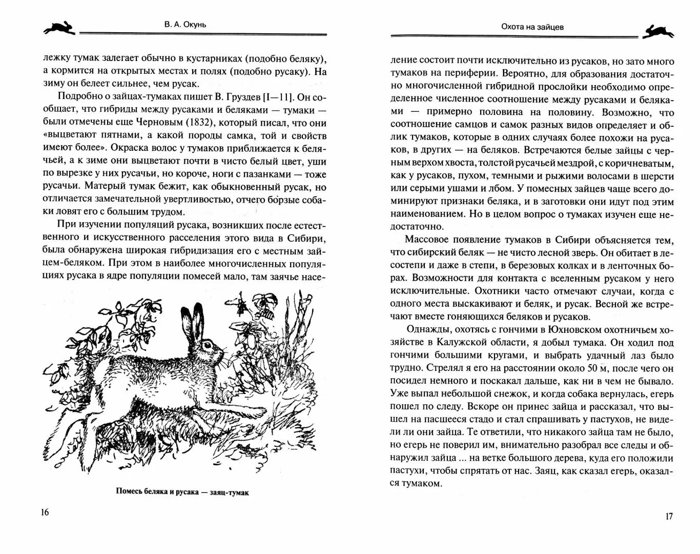 Зеленые рассказы беляк и русак. Рассказ Беляк и Русак. Книга зеленые страницы рассказ Беляк и Русак. Зеленые страницы Беляк.