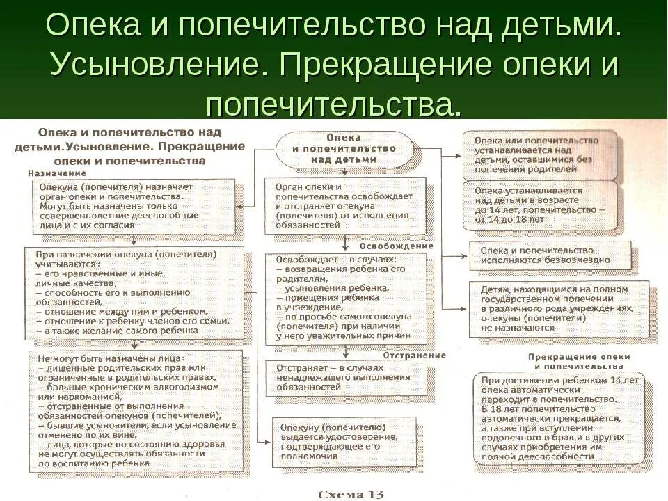 Как сделать опекунство. Порядок установления опеки. Усыновление опека и попечительство. Основания назначения опеки и попечительства. Порядок усыновления опеки и попечительства.