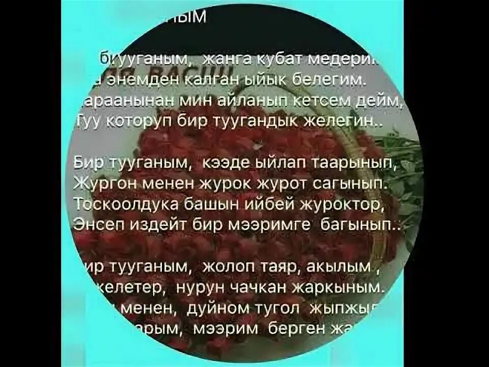 Бир туугандар. Бир тууганым фото. бир тууганым текст. картина бир тууганым.