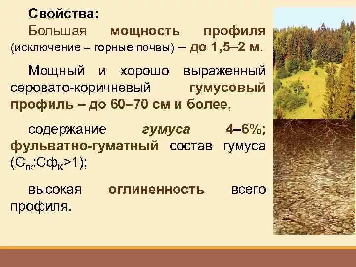 Какие почвы в субтропиках. Свойства горных почв. Почвы горных территорий характеристика. Красноземы и желтоземы почвенный профиль. Желтоземы почвы характеристика.