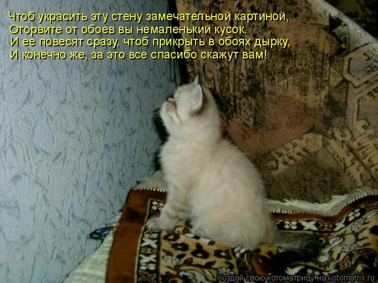 как написать подруге что беременна. чтоб было сразу. старые противопожарные плакаты. доброе утро от маши и медведя. скоро определится.