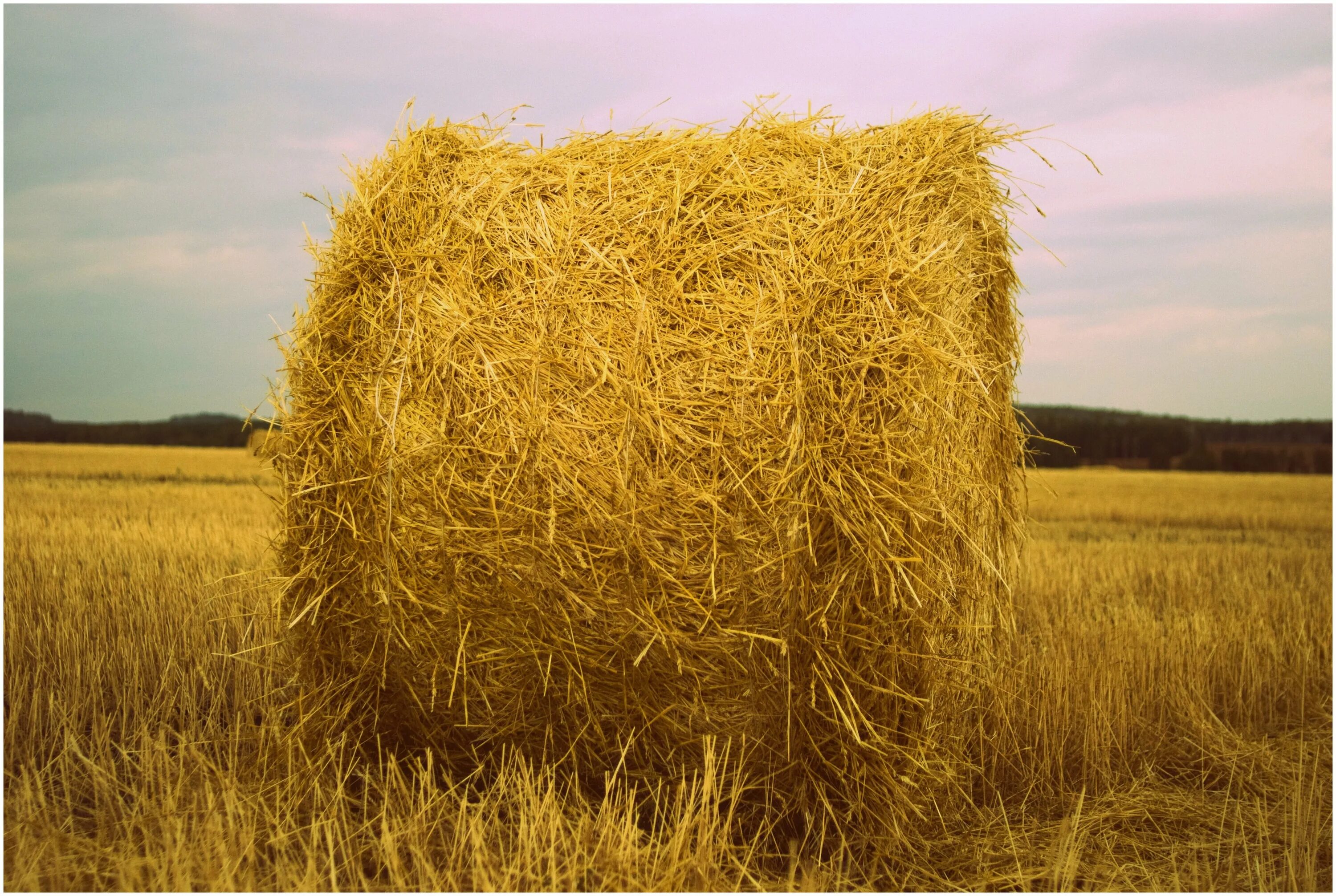 соломенный почему две. ячменная солома. ламмас лугнасад ритуалы. соломенный почему две. соломенный почему две.