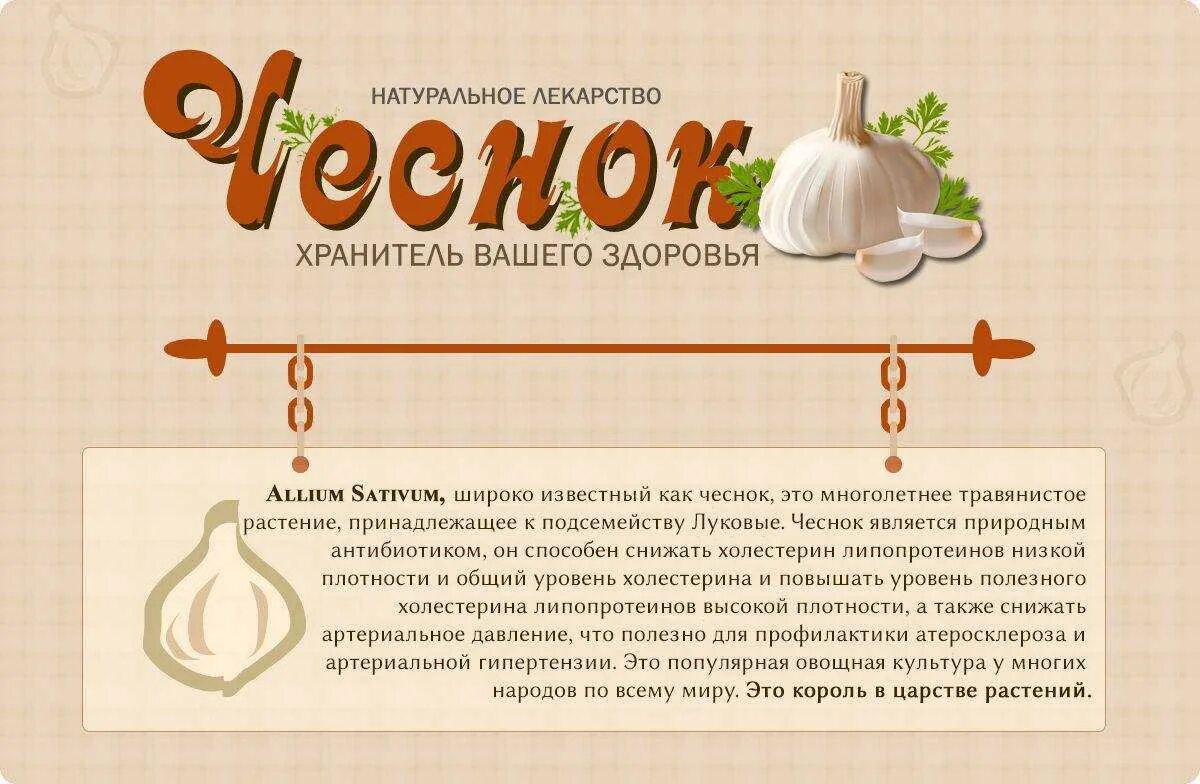 Оранжевый зубчик чеснока. Три зубчика чеснока. Зубчик чеснока в цветном растворе. Чеснок. Женщина с чесноком.