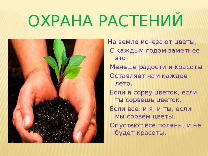 Записать охранять. Проект на тему охрана растений. Пословицы о природе. Пословицы об охране природы. Вывод по теме защита природы.