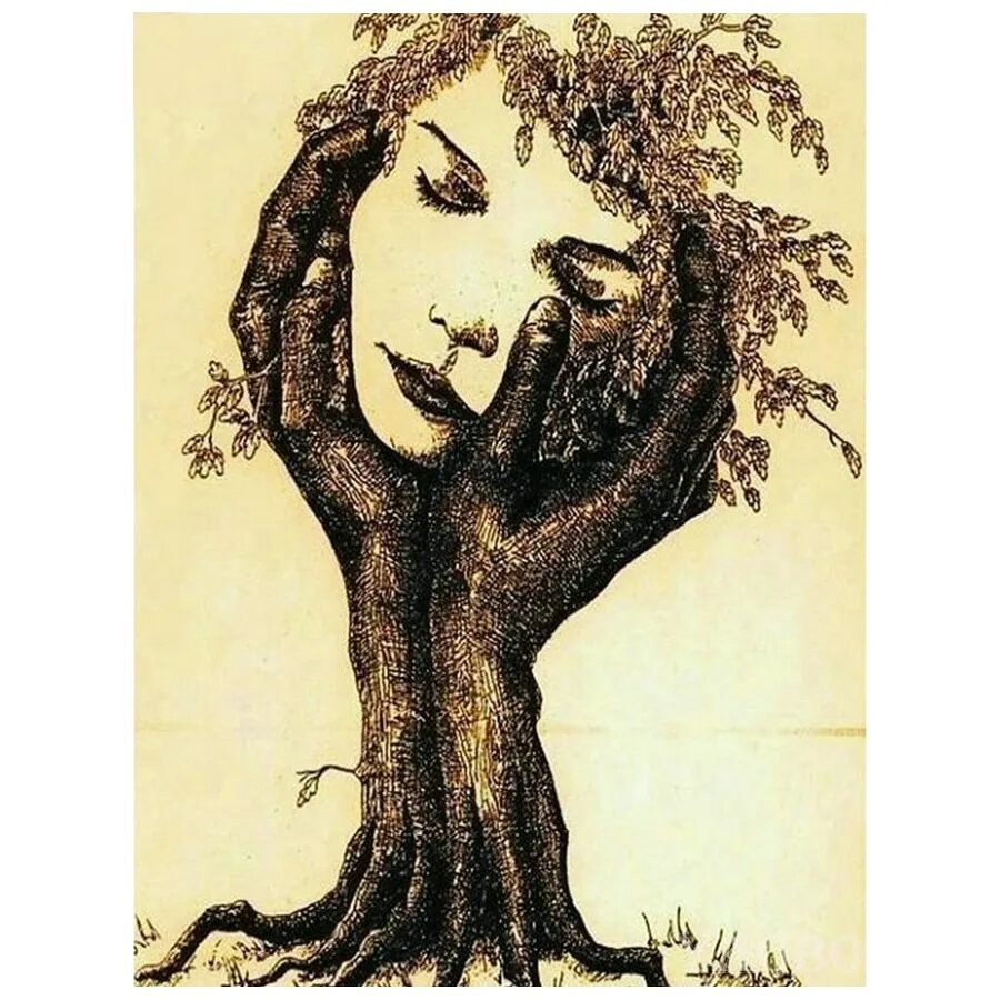 Картинки лицо дерево. Дерево с лицом. Женщина дерево. Девушка дерево. Иллюзия дерево.