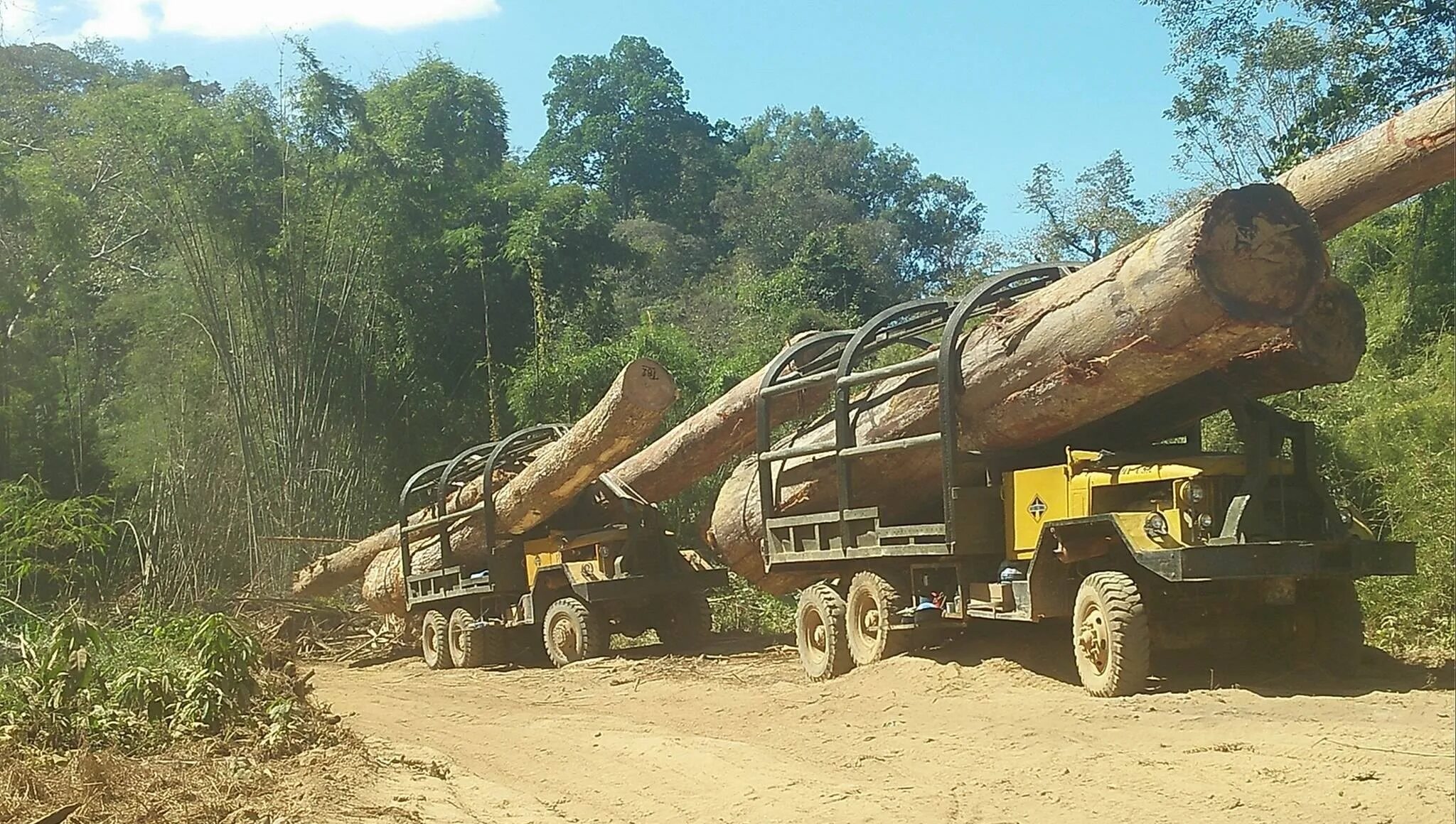 Logging persistent