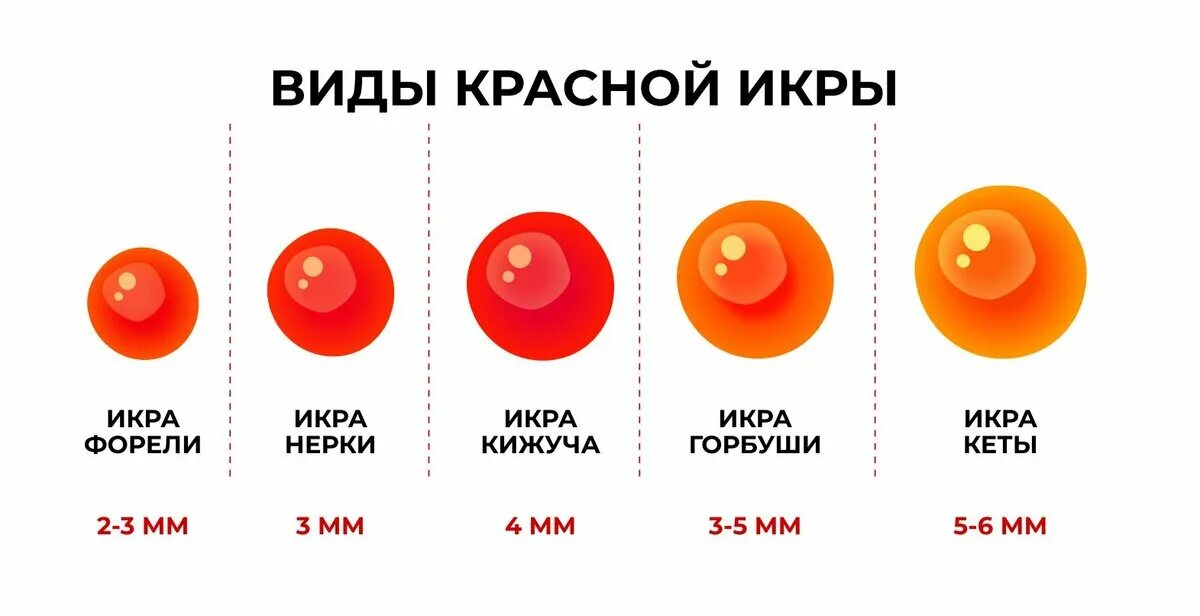 Виды красной икры. Размеры красной икры. Красная икра по размеру икринок. Размер красной икры по видам. Крупнее это