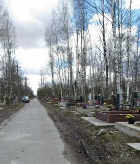 Северное кладбище санкт петербург метро