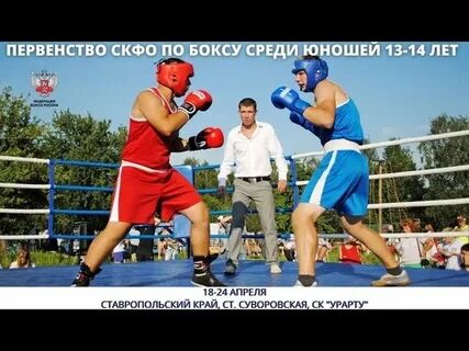 Скфо бокс