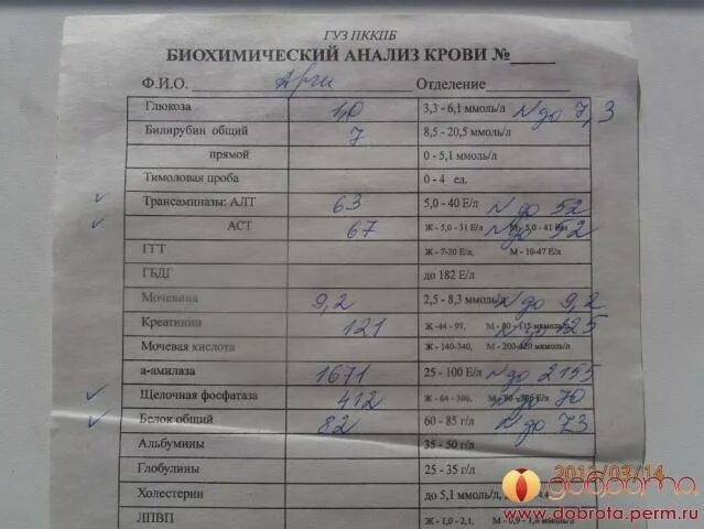 Где можно сдать мочу на анализ. Плохой анализ мочи. анализ мочи у беременных. анализ крови на стерильность. исследование мочи на стерильность.