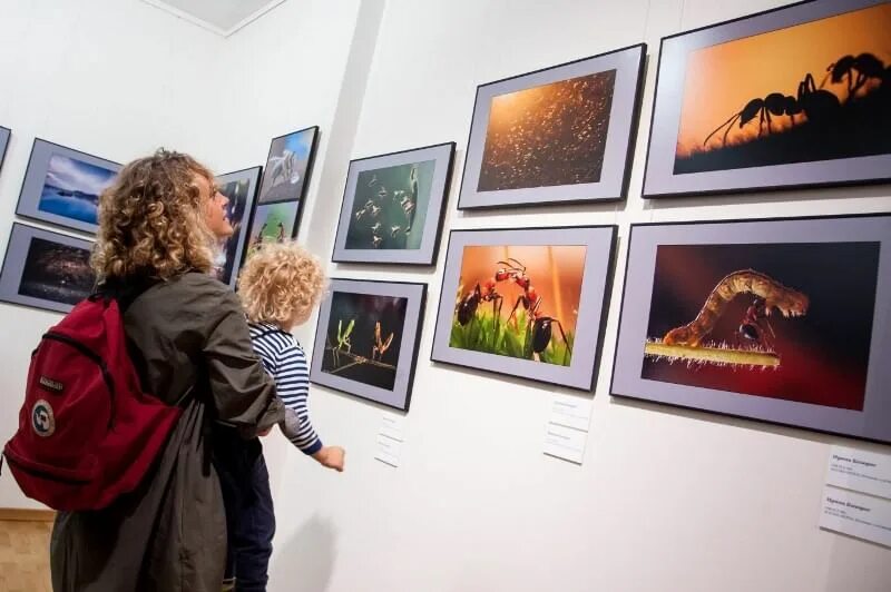 Сколько работает выставка. Выставка фотографий. интересные фотовыставки. выставка картин. современные фотовыставки.