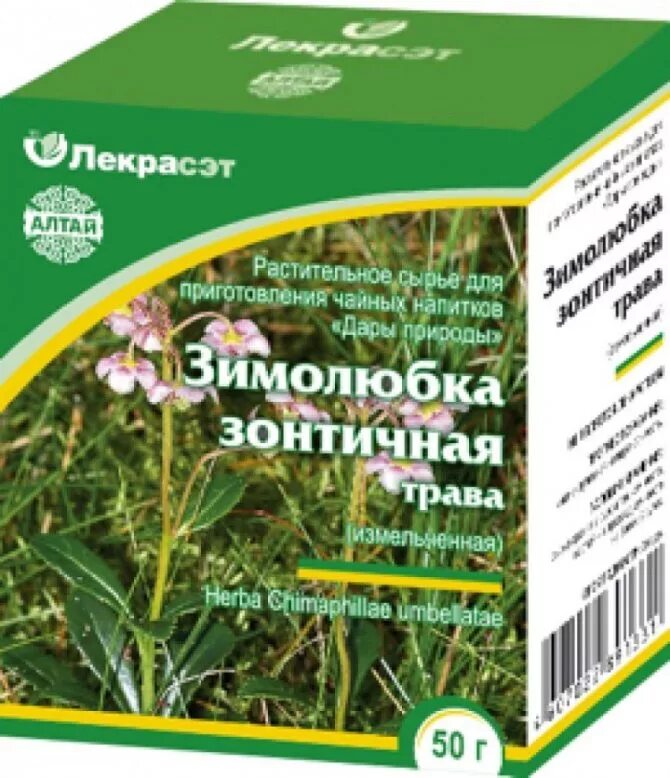 Какие травы снижают аппетит. Зимолюбка зонтичная. Зимолюбка зонтичная гербарий. Зимолюбка зонтичная сырье. Зимолюбка трава.