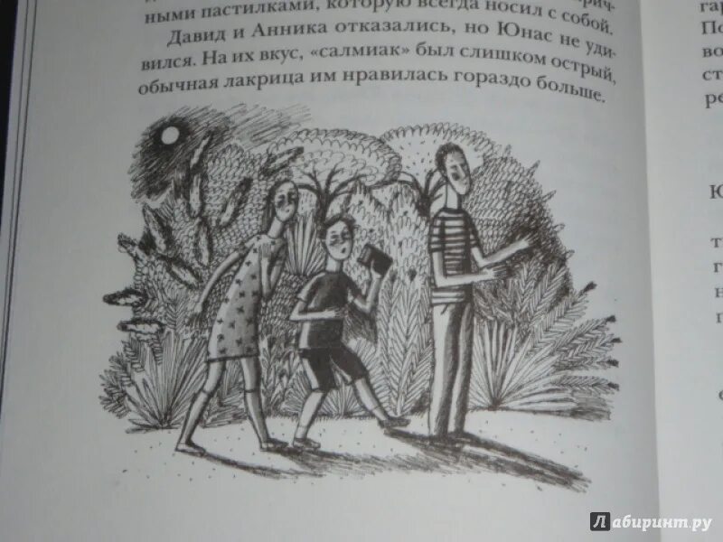 Навозный жук летает в сумерках краткое содержание. Навозный жук книга.