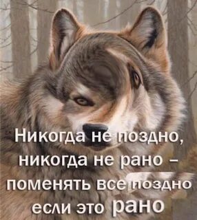 Знай никогда не поздно в этой жизни