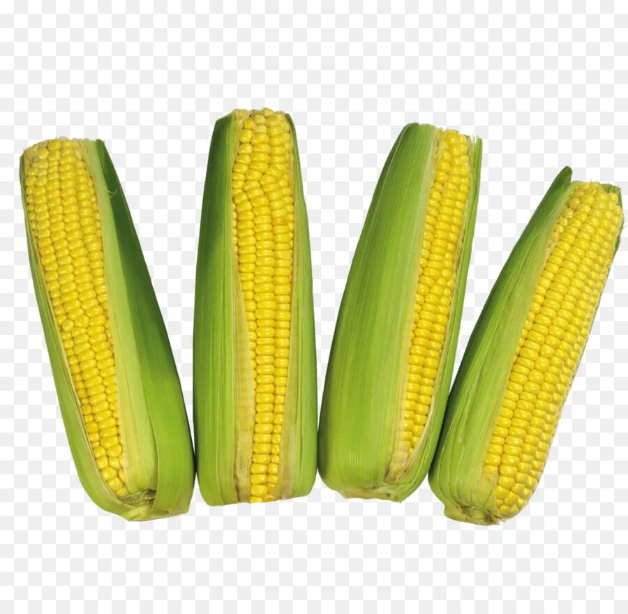 1 початок. Кукуруза початок. Восковидная кукуруза. Кукуруза это овощ. Качан кукурузы.