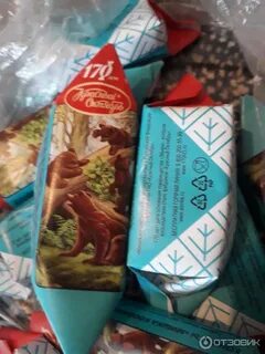 Мишка косолапый красный октябрь
