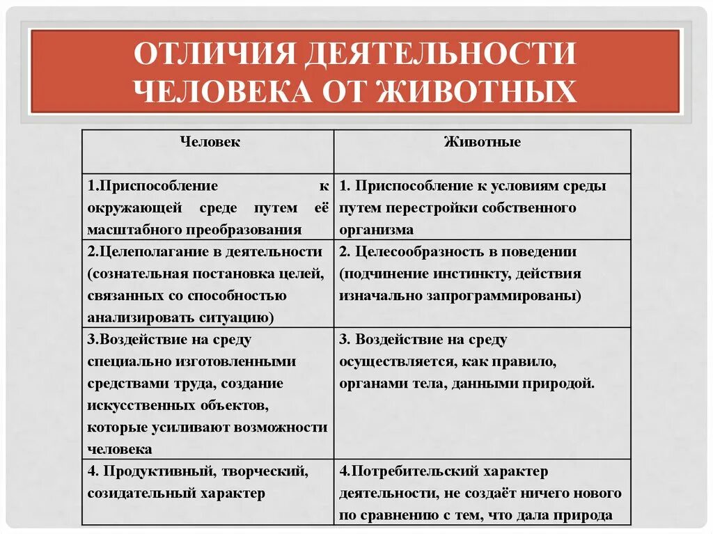 Чем отличается деятельности человека