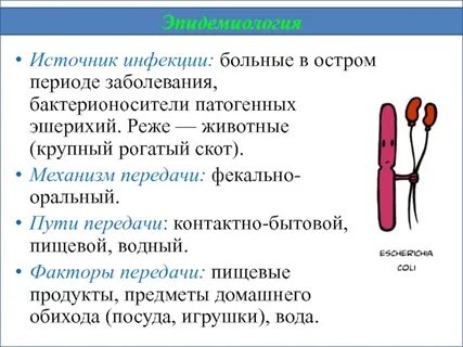 Контактно бытовые инфекции примеры