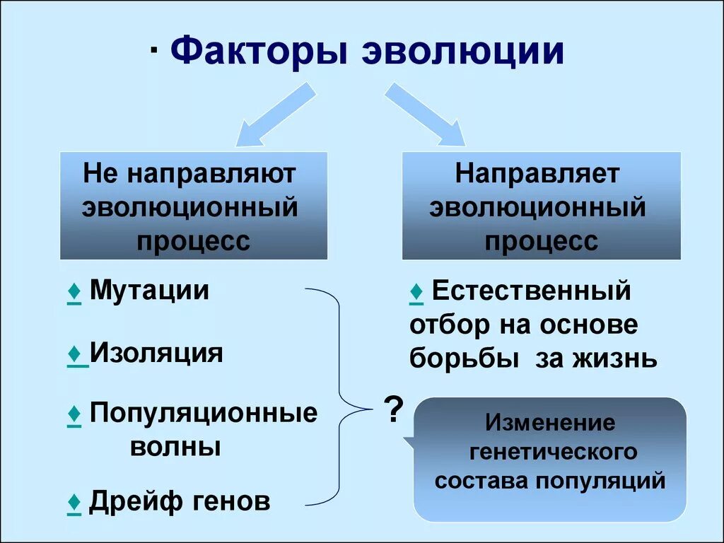 Факторы эволюции. Эволюционные факторы. Основные факторы эволюции. Ненаправляющие факторы эволюции. Какую роль в эволюционном процессе играет борьба