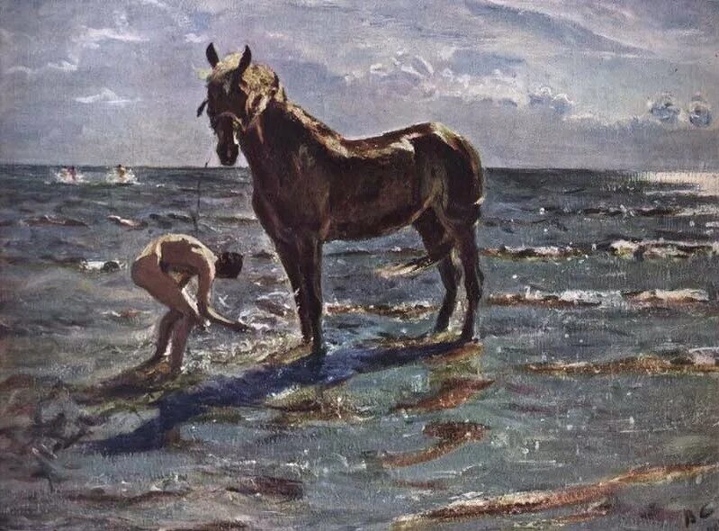 Купание коня картина. Купание лошадей