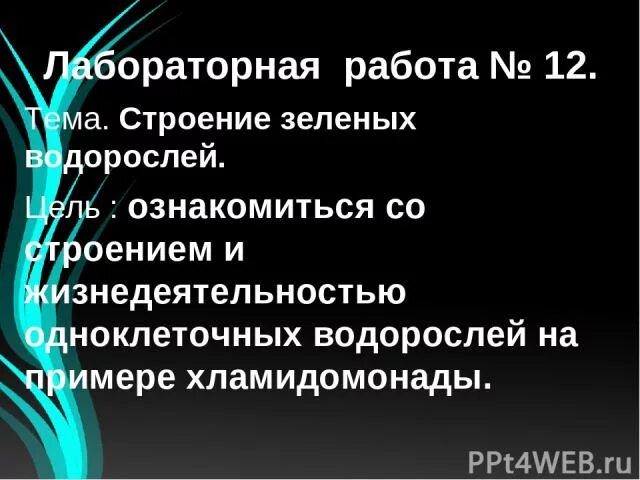 Лабораторная работа строение зеленых водорослей. Лабораторная работа на тему водоросли. Строение зеленых водорослей лабораторная работа 5 класс. Лабораторная по биологии строение зеленых водорослей. Лабораторная работа строение водорослей